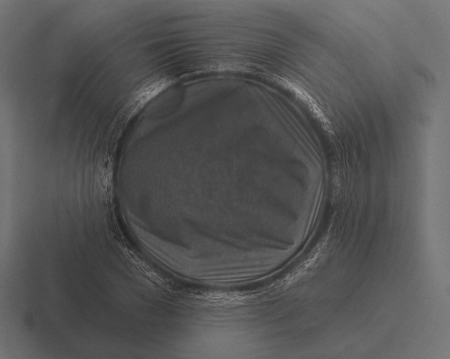 X0000116590977200912291305