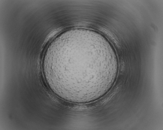 X0000116590978200912291305