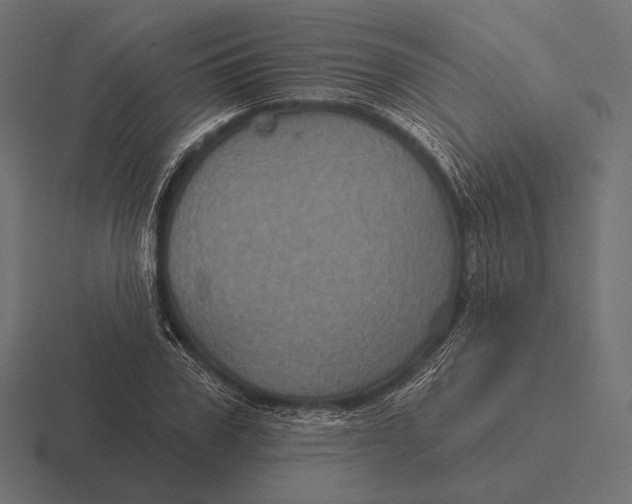 X0000116590979200912291305