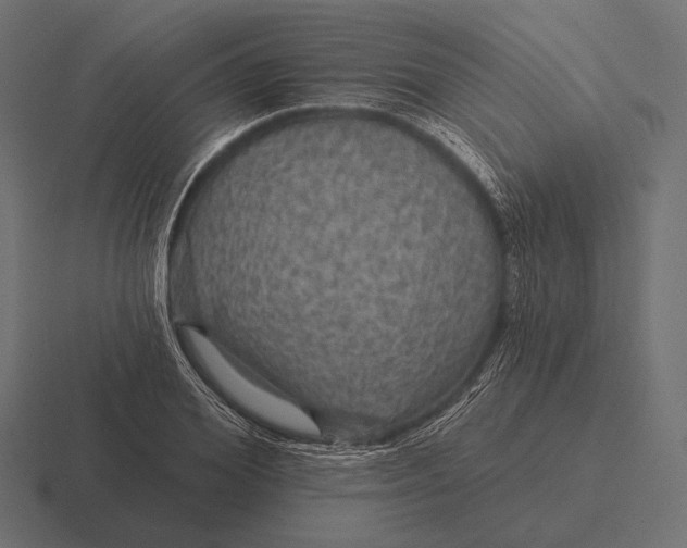 X0000116590980200912291305