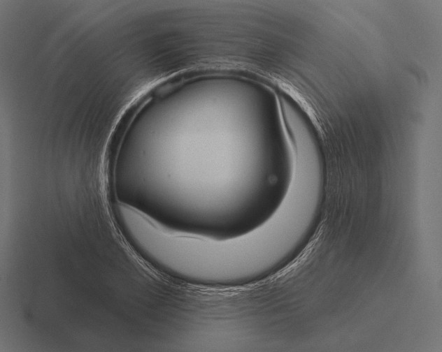 X0000116590981200912291305