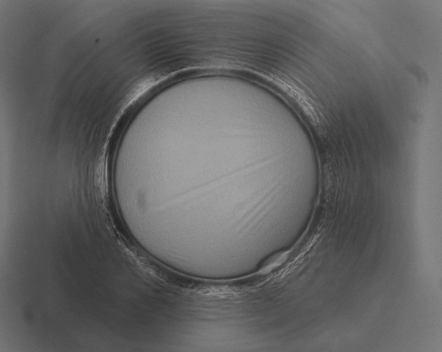 X0000116590982200912291304