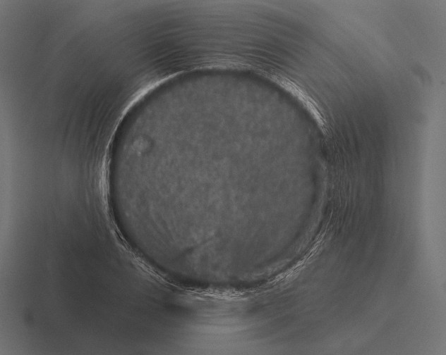 X0000116590983200912291304