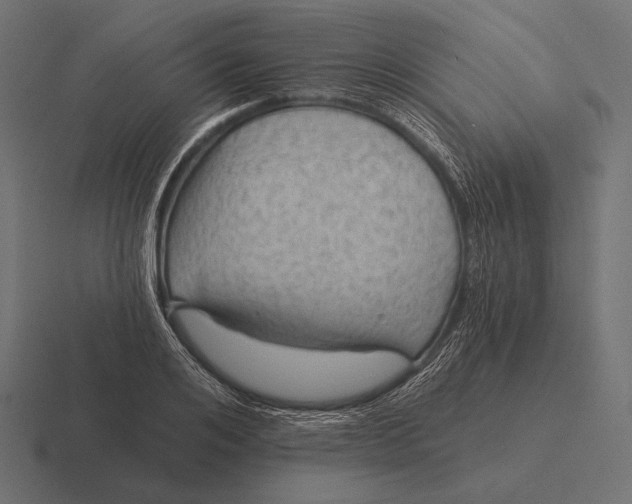 X0000116590984200912291304