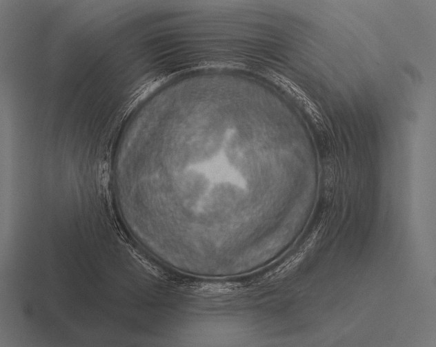 X0000116590985200912291304