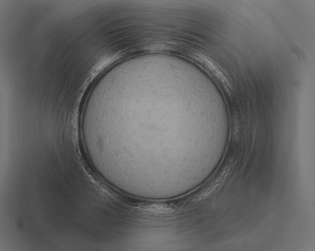 X0000116590986200912291304