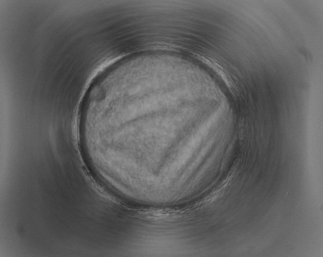 X0000116590987200912291304