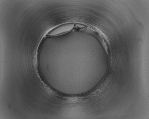 X0000116590988200912291304