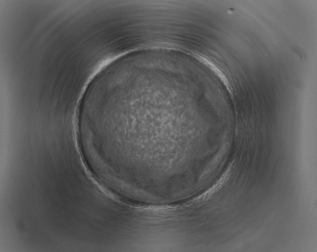 X0000116590989200912291304