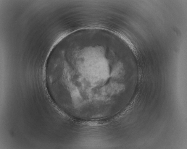 X0000116590990200912291304