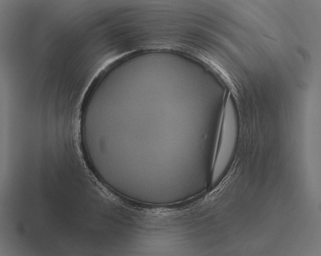 X0000116590992200912291304