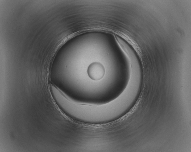 X0000116590993200912291304