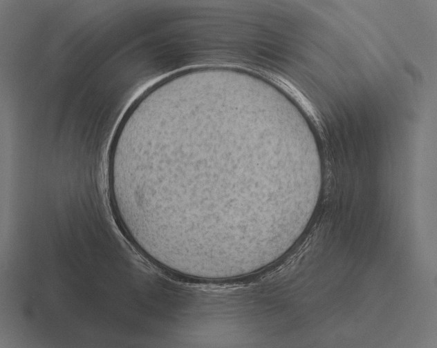 X0000116590996200912291304