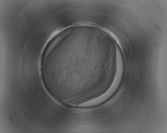 X0000116590997200912291304