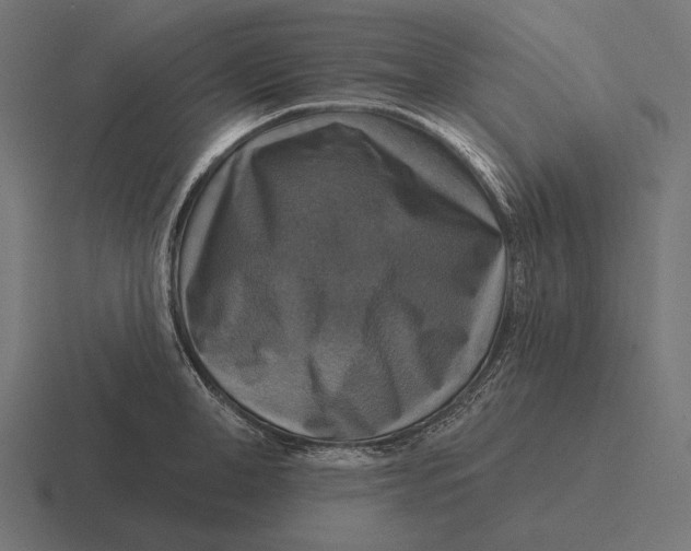 X0000116590998200912291304