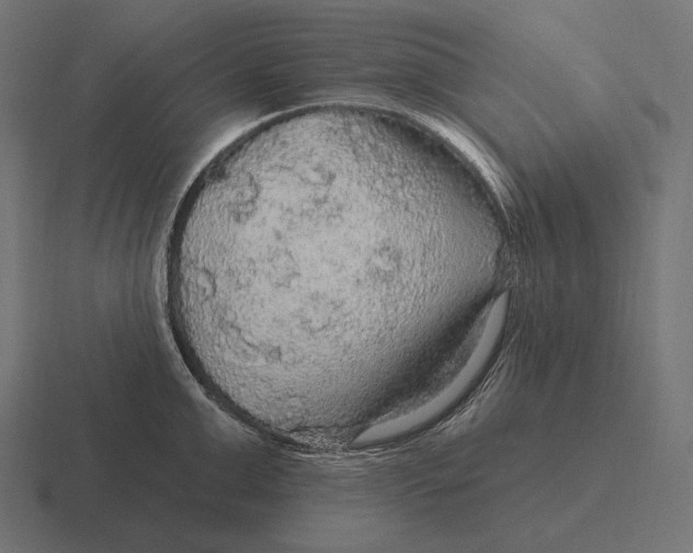 X0000116590999200912291304