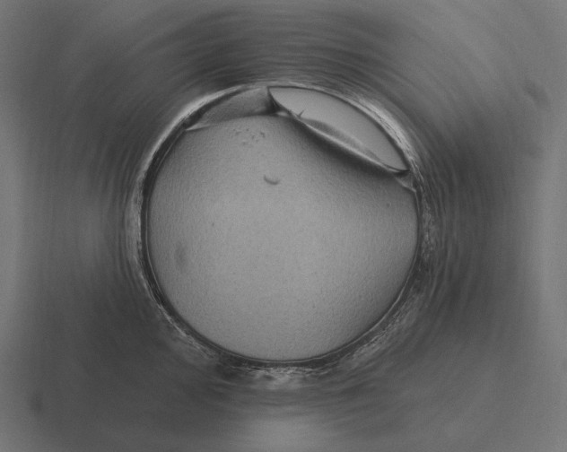 X0000116591000200912291304