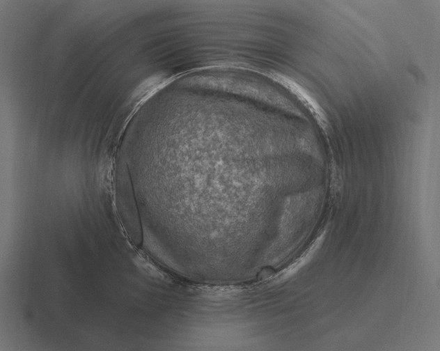 X0000116591001200912291304