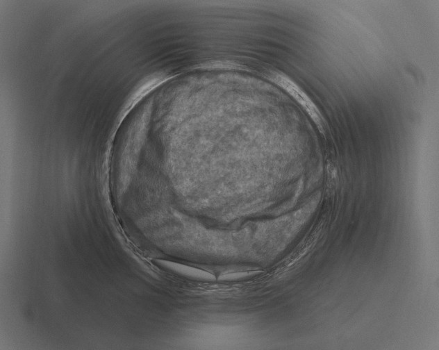 X0000116591002200912291304