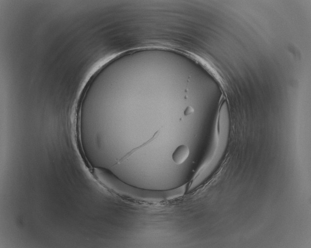 X0000116591003200912291304