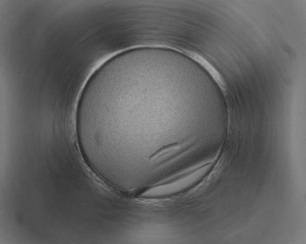 X0000116591004200912291304