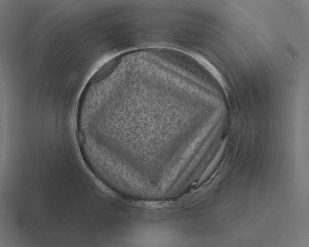 X0000116591005200912291304