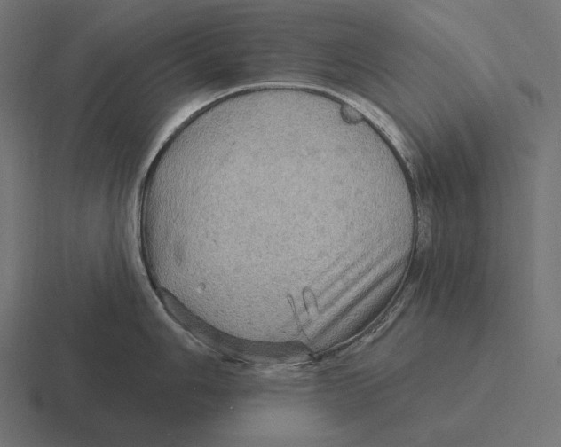 X0000116591006200912291304