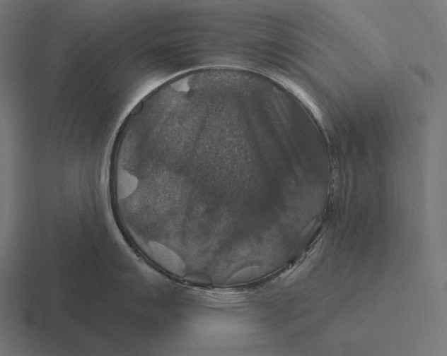 X0000116591007200912291304