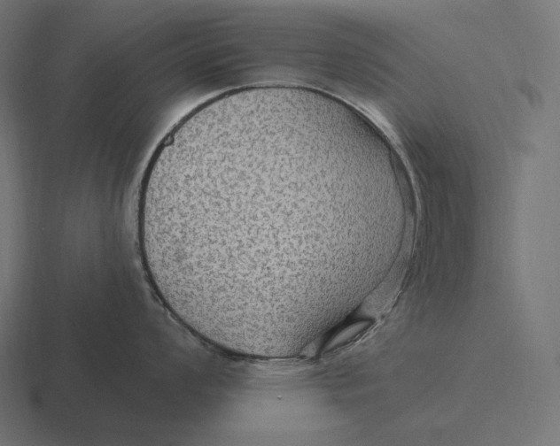 X0000116591008200912291304