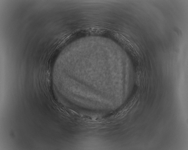 X0000116591010200912291304