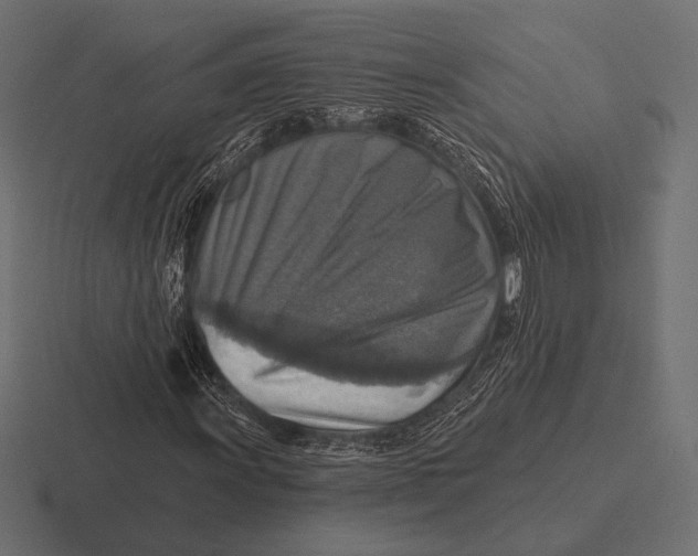 X0000116591011200912291304