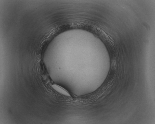 X0000116591012200912291304