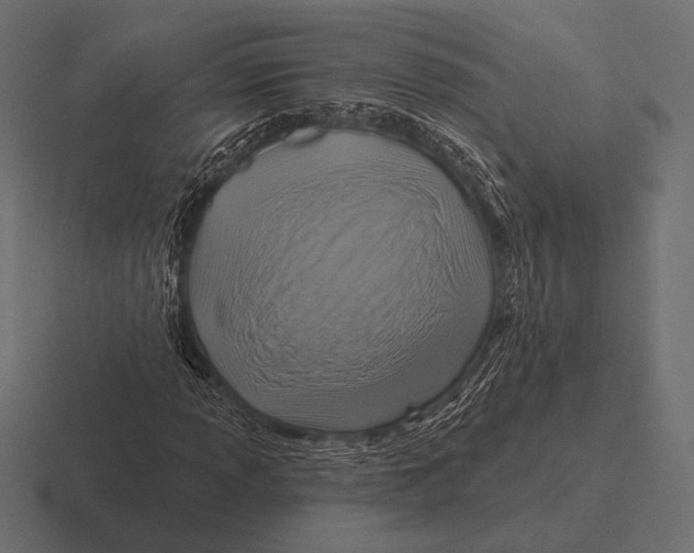 X0000116591013200912291304