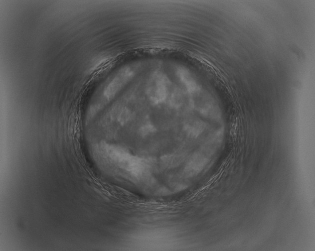 X0000116591014200912291304