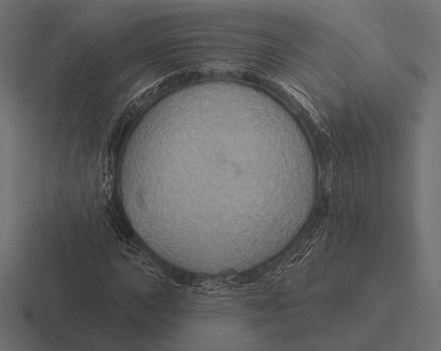 X0000116591015200912291304