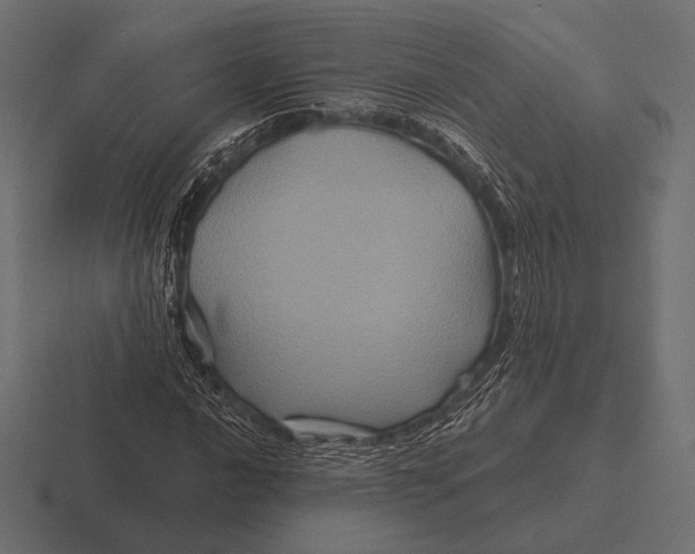 X0000116591016200912291304