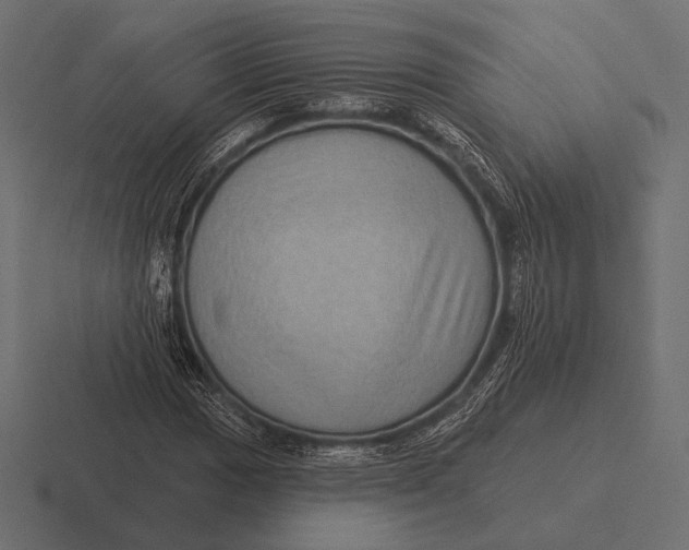 X0000116591017200912291304