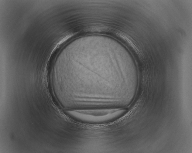 X0000116591018200912291304