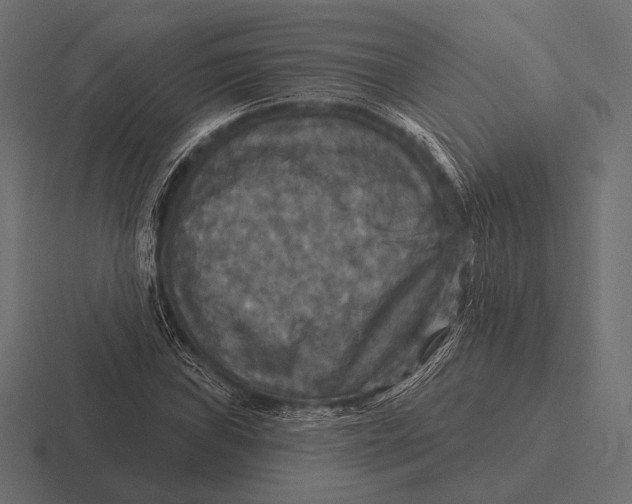 X0000116591019200912291304