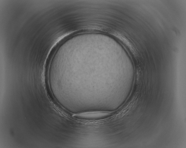 X0000116591020200912291304