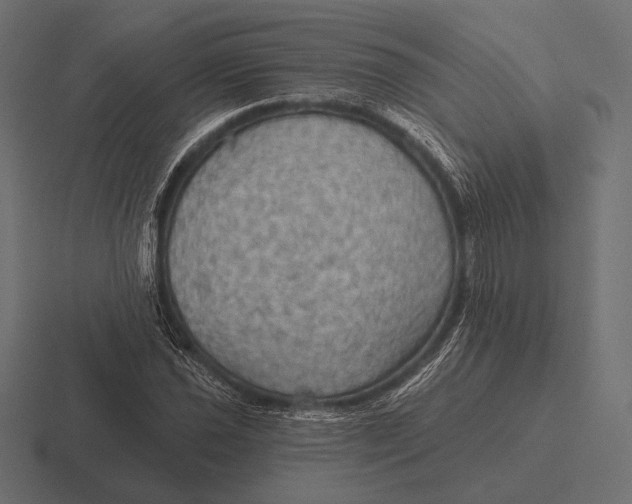 X0000116591021200912291304