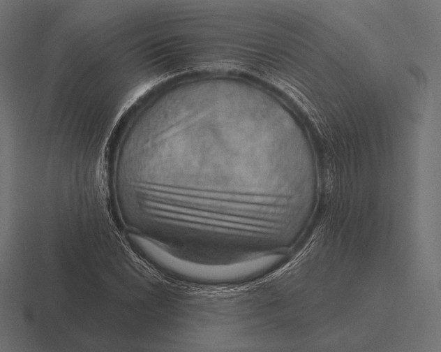 X0000116591022200912291304