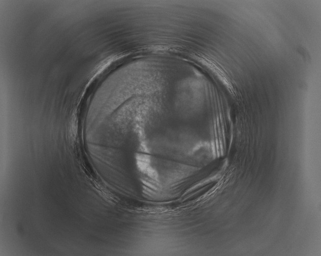 X0000116591023200912291304