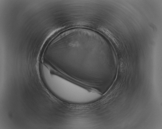 X0000116591024200912291304