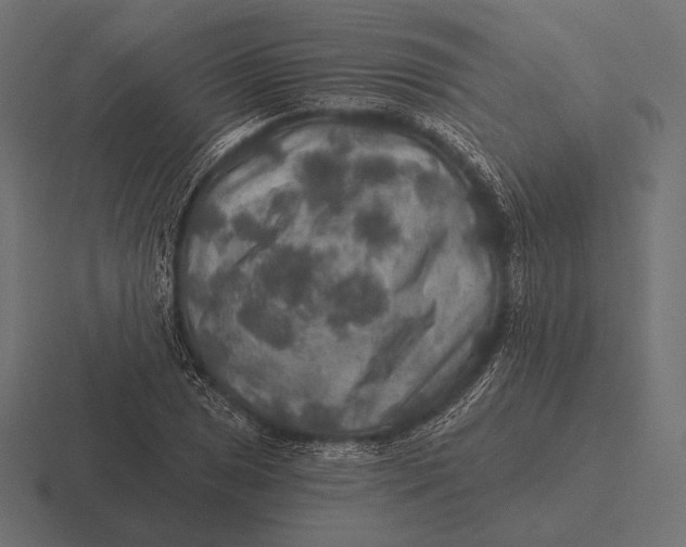 X0000116591025200912291304