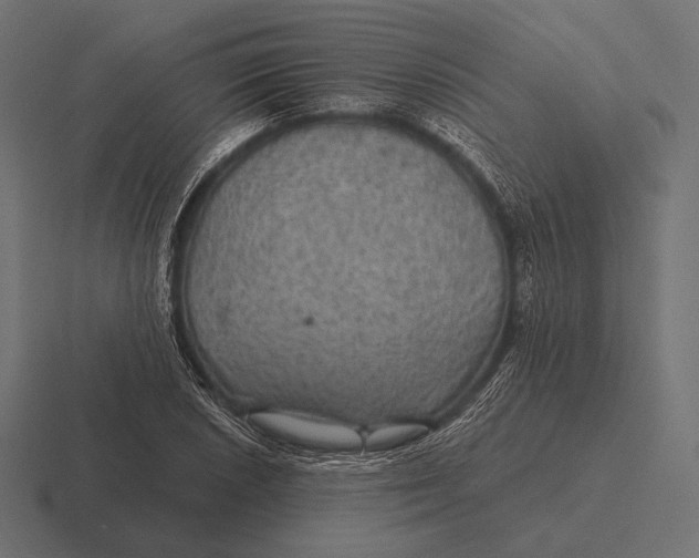 X0000116591026200912291304