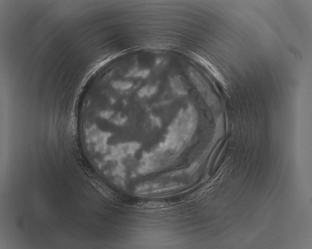 X0000116591027200912291304