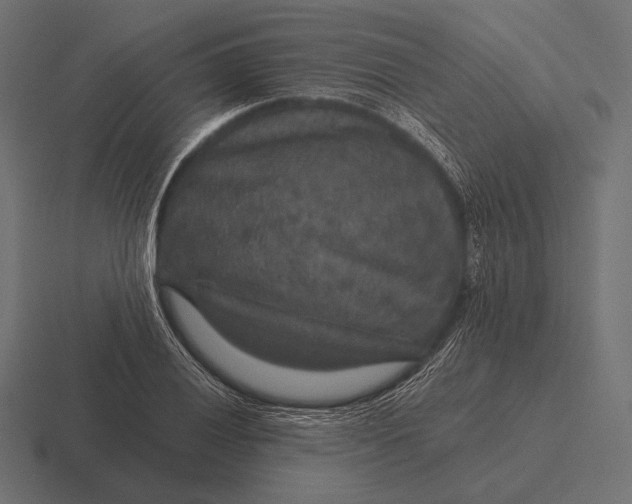 X0000116591028200912291304