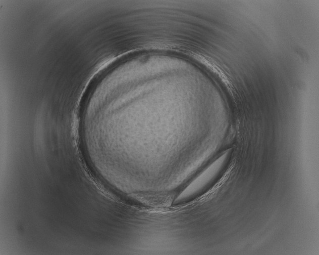 X0000116591029200912291304