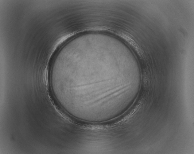 X0000116591030200912291304